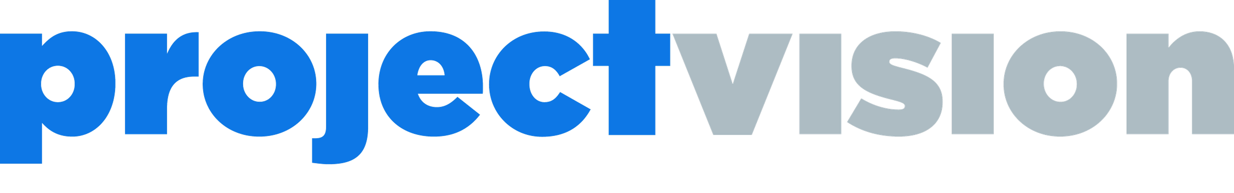 Project Vision